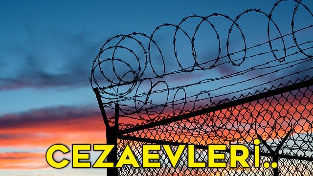 Ceza infaz kurumu cezaevi sayısı istatistikleri nelerdir?